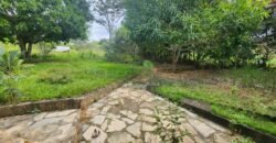 Casa – Rio – área 3,5ha – 9 km da Cachoeira Macaquinhos – Povoado Vereda – Alto Paraíso de Goiás