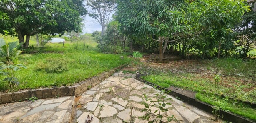 Casa – Rio – área 3,5ha – 9 km da Cachoeira Macaquinhos – Povoado Vereda – Alto Paraíso de Goiás