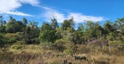 Chácara 5,30ha – Rio – Morro da Baleia – 13 km de Alto Paraíso de Goiás sentido São Jorge