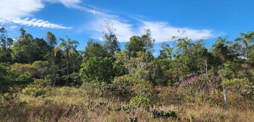 Chácara 5,30ha – Rio – Morro da Baleia – 13 km de Alto Paraíso de Goiás sentido São Jorge