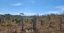 Chácara 4.000 m2 – Rio – Condomínio Rural – 12 km de Alto Paraíso sentido São Jorge