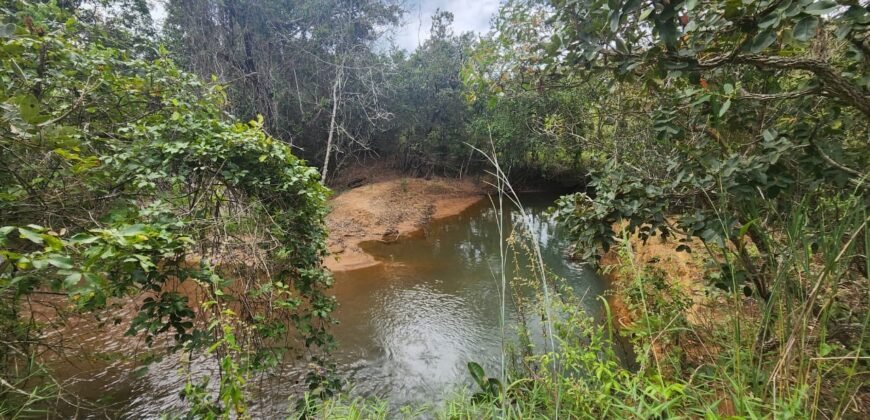 Casa – Rio – área 3,5ha – 9 km da Cachoeira Macaquinhos – Povoado Vereda – Alto Paraíso de Goiás