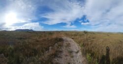 Chácara 5,30ha – Rio – Morro da Baleia – 13 km de Alto Paraíso de Goiás sentido São Jorge