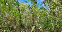 Chácara 5,30ha – Rio – Morro da Baleia – 13 km de Alto Paraíso de Goiás sentido São Jorge