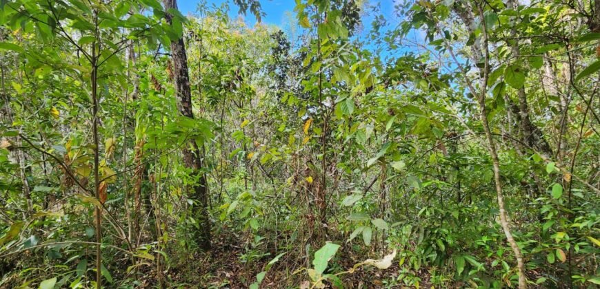 Chácara 5,30ha – Rio – Morro da Baleia – 13 km de Alto Paraíso de Goiás sentido São Jorge
