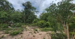 Fazenda 76 ha – Cachoeira – 12km Teresina de Goiás – Chapada dos Veadeiros
