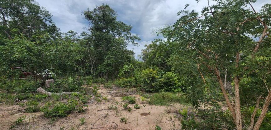Fazenda 76 ha – Cachoeira – 12km Teresina de Goiás – Chapada dos Veadeiros