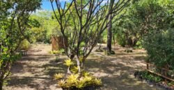 Oportunidade Exclusiva! Pousada à Venda em Cavalcante – Lote 2.000 m2 – Chapada dos Veadeiros
