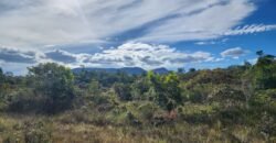 Chácara 5,30ha – Rio – Morro da Baleia – 13 km de Alto Paraíso de Goiás sentido São Jorge