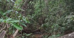 Maravilhosa Chácara 20ha – Recifra – Alto Paraíso de Goiás