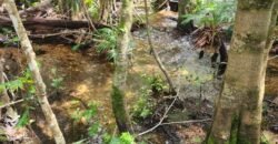 Chácara 6,3 ha – Rio – Piscina para Banho – Vale Verde – Alto Paraíso de Goiás