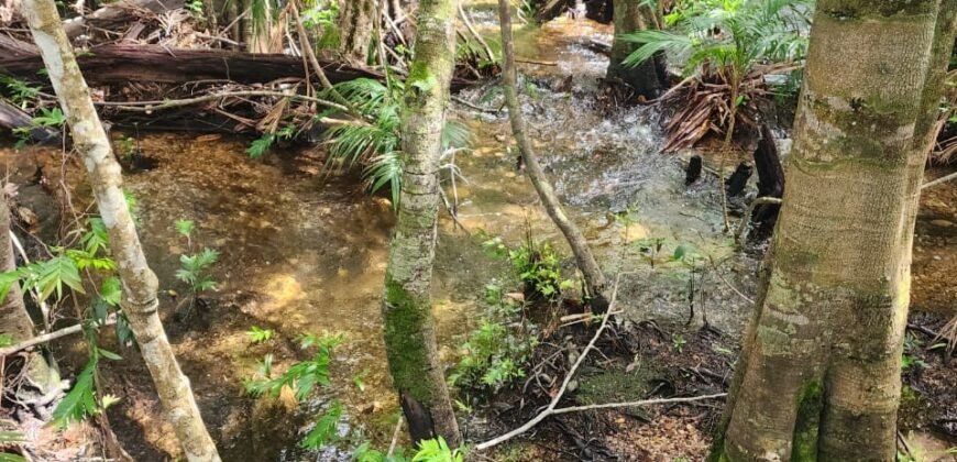 Chácara 6,3 ha – Rio – Piscina para Banho – Vale Verde – Alto Paraíso de Goiás