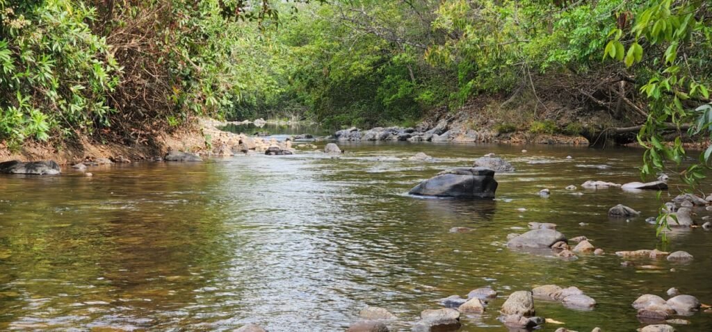 Chácara 4ha Beira Rio São Miguel – 17km de São Jorge – Chapada dos Veadeiros