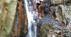 Fazenda  20 alqueires –  Cachoeira – Próximo a Cachoeira Poço Encantado – Casa Sede – Nascente – Piscina aquecida – Alto Paraíso de Goiás