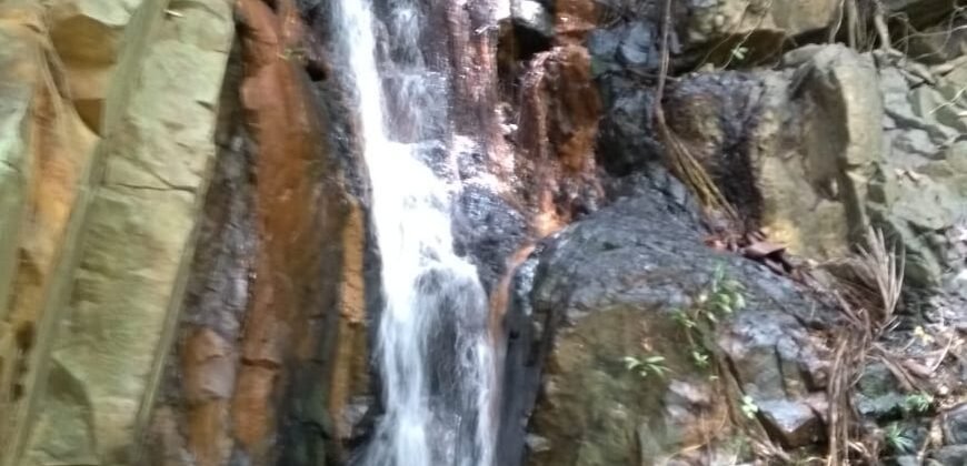 Fazenda  20 alqueires –  Cachoeira – Próximo a Cachoeira Poço Encantado – Casa Sede – Nascente – Piscina aquecida – Alto Paraíso de Goiás