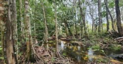 Chácara 6,3 ha – Rio – Piscina para Banho – Vale Verde – Alto Paraíso de Goiás