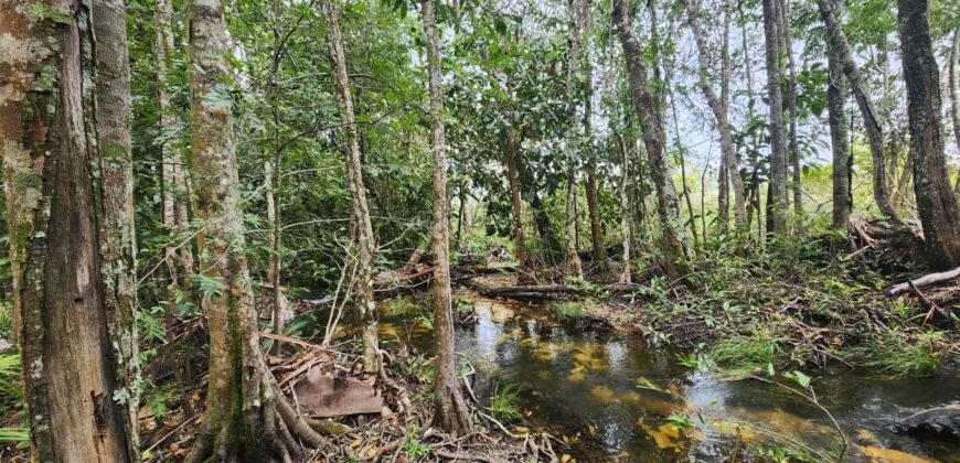 Chácara 6,3 ha – Rio – Piscina para Banho – Vale Verde – Alto Paraíso de Goiás