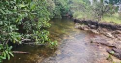 Chácara 6,3 ha – Rio – Piscina para Banho – Vale Verde – Alto Paraíso de Goiás