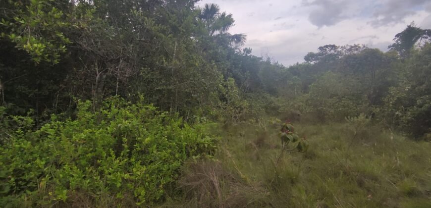 Maravilhosa Chácara 20ha – Recifra – Alto Paraíso de Goiás