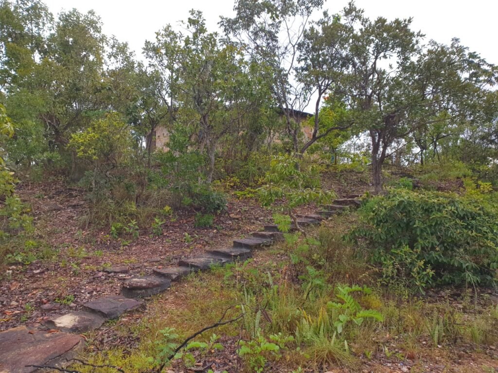 Chácara 4ha Beira Rio dos Couros – Casa Exótica e Ecológica – 12 km Alto Paraíso sentido São Jorge