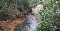Maravilhosa Chácara 20ha – Recifra – Alto Paraíso de Goiás