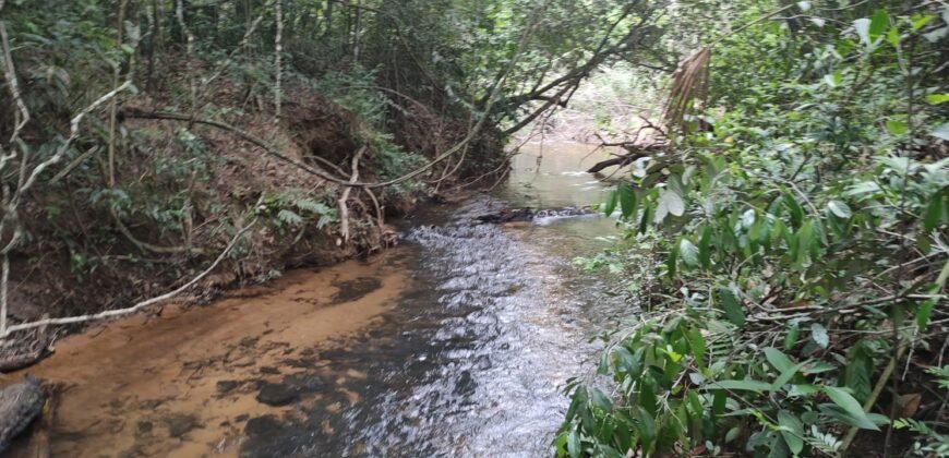 Maravilhosa Chácara 20ha – Recifra – Alto Paraíso de Goiás