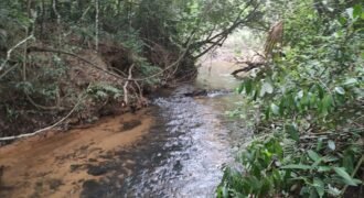 Maravilhosa Chácara 20ha – Recifra – Alto Paraíso de Goiás