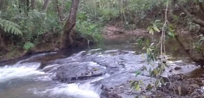 Maravilhosa Chácara 20ha – Recifra – Alto Paraíso de Goiás