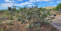 Maravilhosa Casa – pegada ecológica – 2,5km de Cavalcante/GO sentido Cachoeira Santa Barbara – Chapada dos Veadeiros
