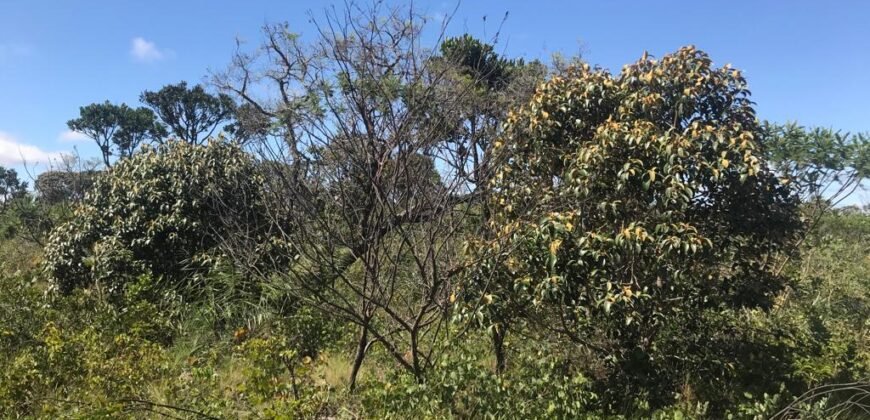 Chácara 4ha – 4km de Alto Paraíso Sentido Cachoeira dos Cristais