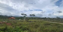 Chácara 4.000 m2 – Rio – Condomínio Rural – 12 km de Alto Paraíso sentido São Jorge