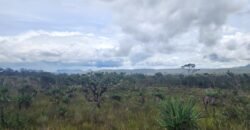 Chácara 6,3 ha – Rio – Piscina para Banho – Vale Verde – Alto Paraíso de Goiás