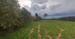 Maravilhosa Chácara 20ha – Recifra – Alto Paraíso de Goiás