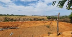 Fazenda Produzindo – Soja – Milho – Feijão – Propriedade Rural na Chapada dos Veadeiros – 28km de Alto Paraíso  de Goiás