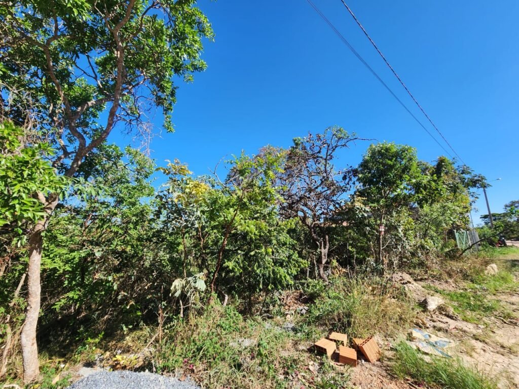 Lote 528m2 – Eldorado Etapa 2 – Alto Paraíso de Goiás
