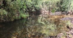 Chácara – Casa – Margem Rio Das Cobras – 12km de Alto Paraíso de Goiás