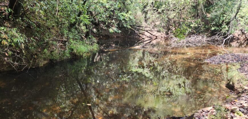 Chácara – Casa – Margem Rio Das Cobras – 12km de Alto Paraíso de Goiás