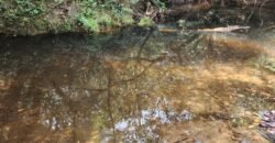 Chácara – Casa – Margem Rio Das Cobras – 12km de Alto Paraíso de Goiás