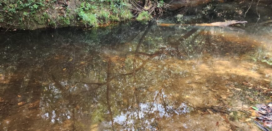Chácara – Casa – Margem Rio Das Cobras – 12km de Alto Paraíso de Goiás