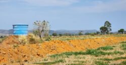 Fazenda Produzindo – Soja – Milho – Feijão – Propriedade Rural na Chapada dos Veadeiros – 28km de Alto Paraíso  de Goiás