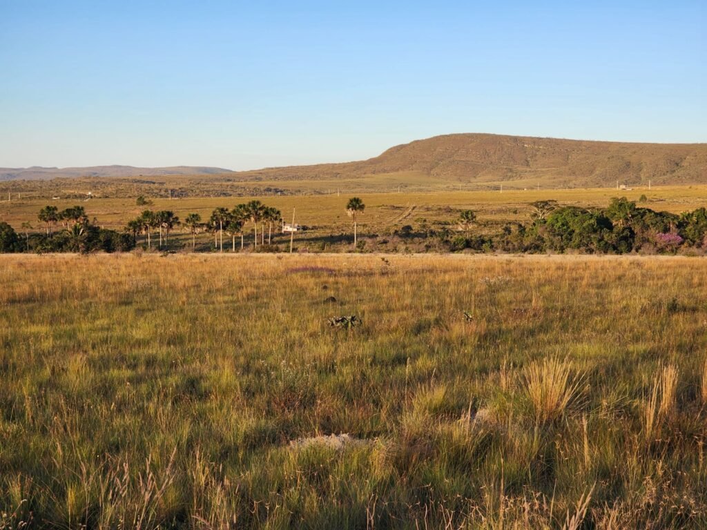 Vende-se Chácara 18ha Vale Verde – Chapada dos Veadeiros