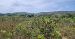 Chácara – Casa – Margem Rio Das Cobras – 12km de Alto Paraíso de Goiás