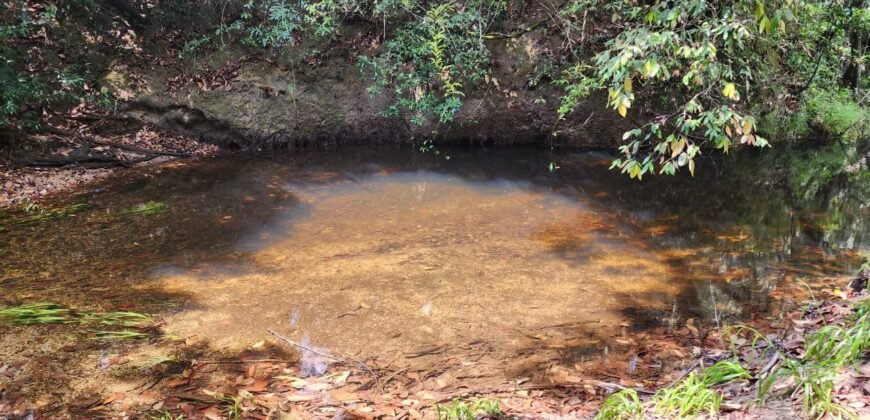 Chácara – Casa – Margem Rio Das Cobras – 12km de Alto Paraíso de Goiás