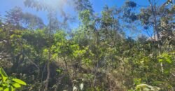 Lote 528m2 – Eldorado Etapa 2 – Alto Paraíso de Goiás