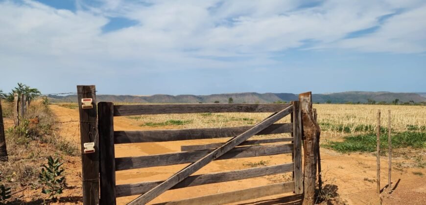 Fazenda Produzindo – Soja – Milho – Feijão – Propriedade Rural na Chapada dos Veadeiros – 28km de Alto Paraíso  de Goiás