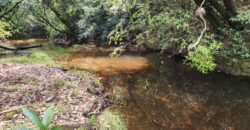 Chácara – Casa – Margem Rio Das Cobras – 12km de Alto Paraíso de Goiás