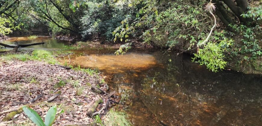 Chácara – Casa – Margem Rio Das Cobras – 12km de Alto Paraíso de Goiás