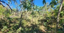 Lote 528m2 – Eldorado Etapa 2 – Alto Paraíso de Goiás