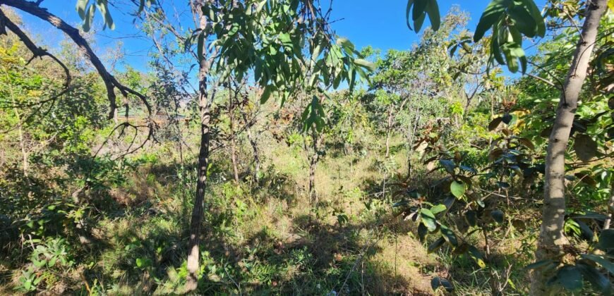 Lote 528m2 – Eldorado Etapa 2 – Alto Paraíso de Goiás