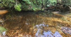 Chácara – Casa – Margem Rio Das Cobras – 12km de Alto Paraíso de Goiás